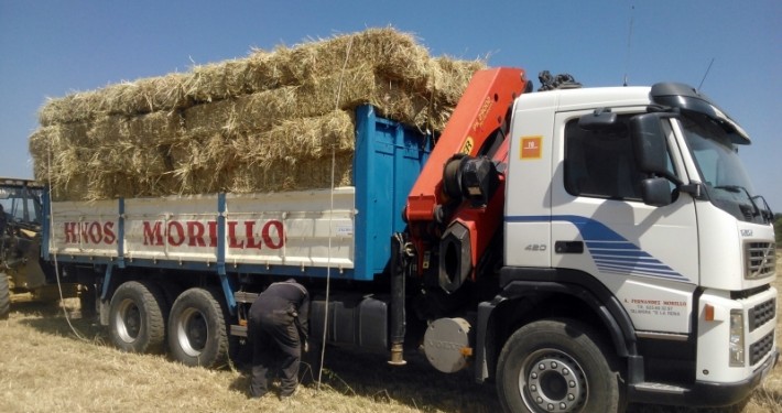 operario cargando bloques de paja en un camión volquete en Talavera de la Reina